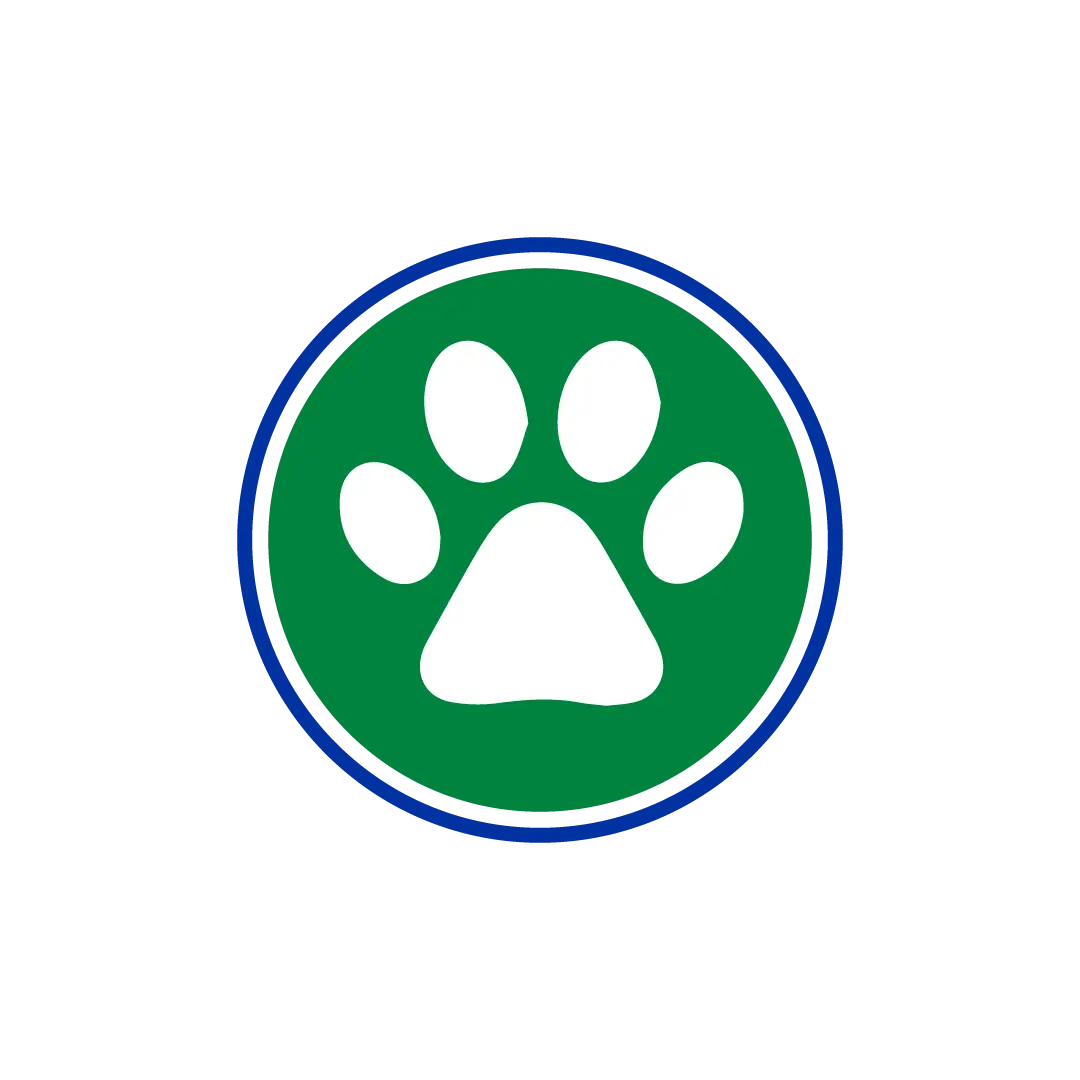 Chemdry, Carpets, Upholstery, Cleaning, Kuwait, Air Duct